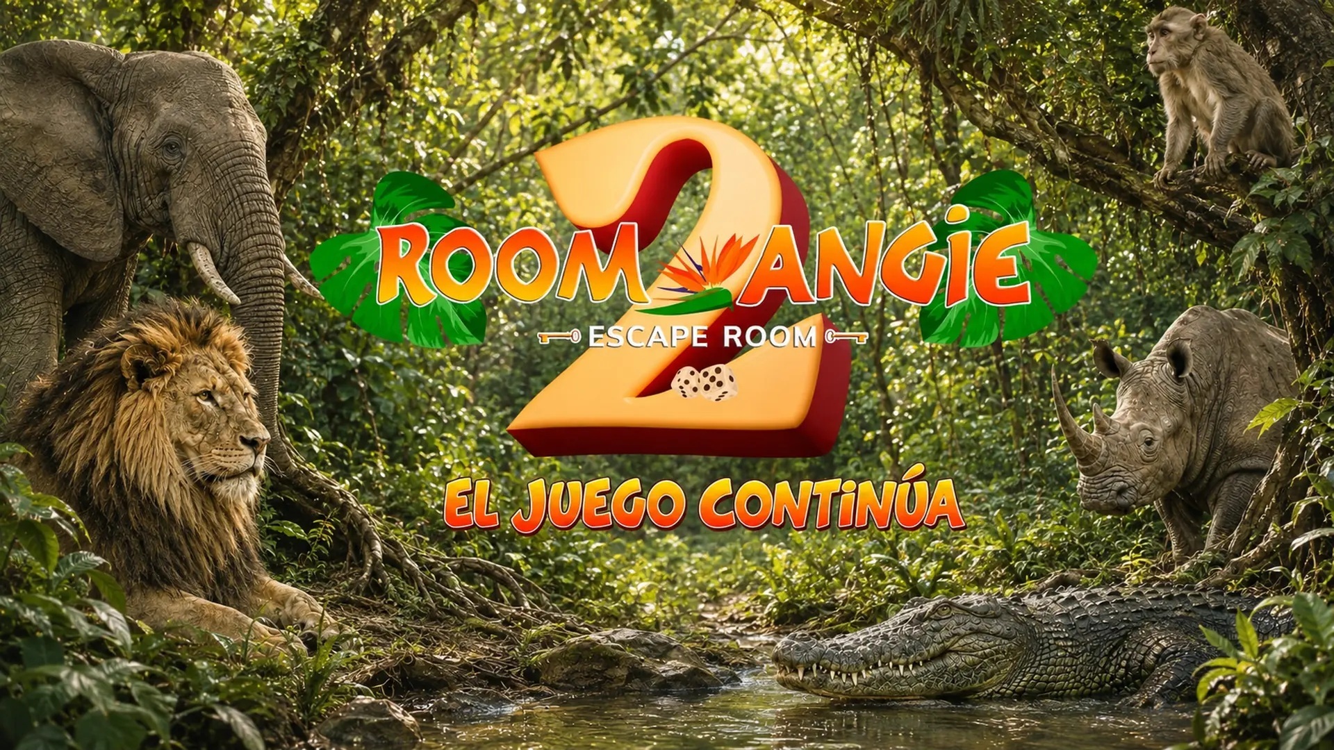 portada-ROOMANGIE2